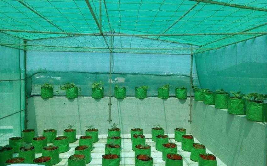 Green shade net for garden and construction in Hyderabad