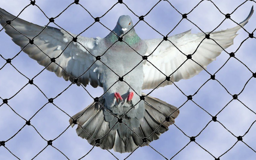Anti bird protection nets installation in Hyderabad balcony